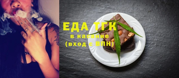 индика Аркадак