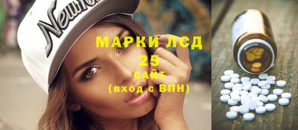 индика Аркадак