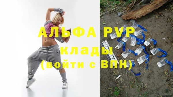индика Аркадак