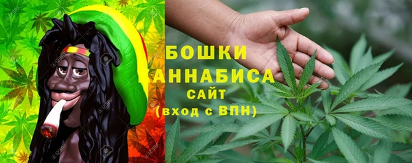 индика Аркадак