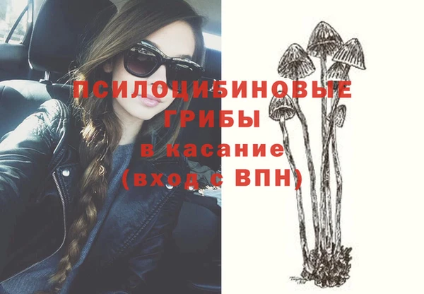 гашиш Богородск