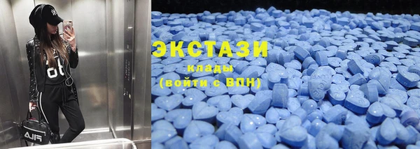 индика Аркадак